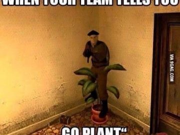 when your team tells you go plant