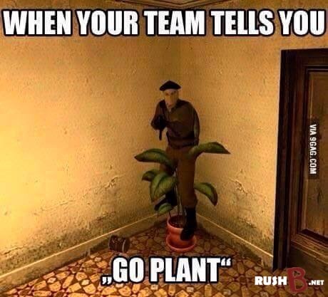 when your team tells you go plant