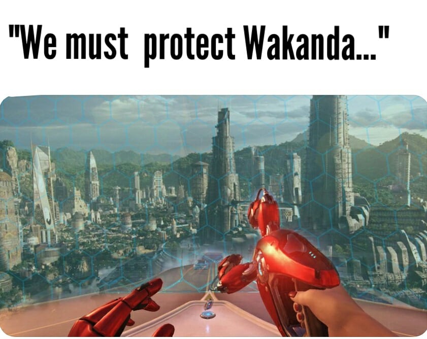 We must protect Wakanda