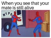 when you see that your team mate is still alive